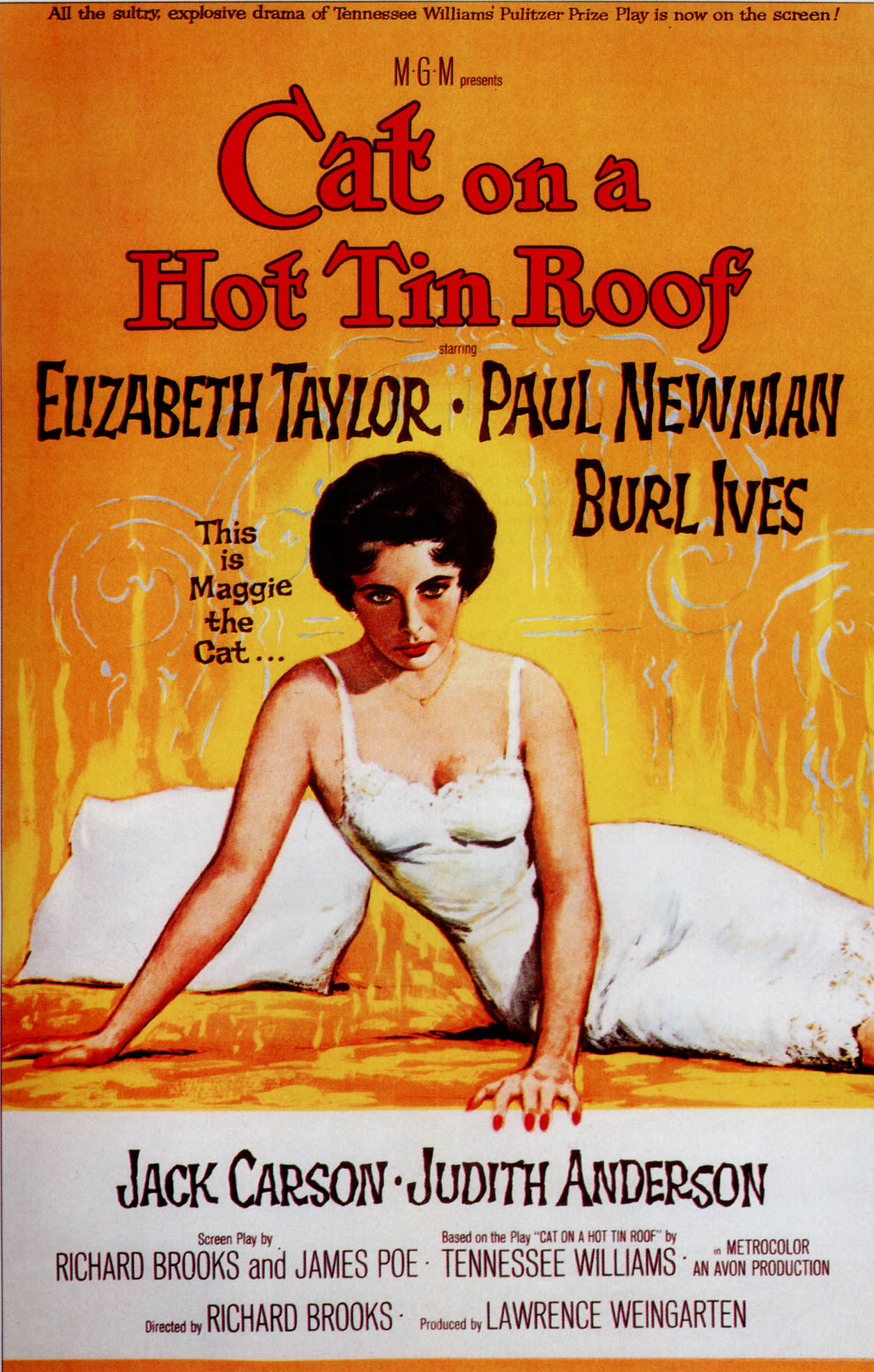 Cat on a Hot Tin Roof